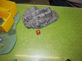 IMG_5528