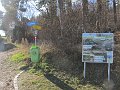IMG_5596