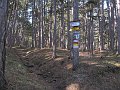 IMG_5598