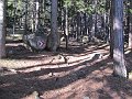 IMG_5600
