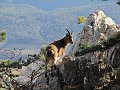 IMG_5606