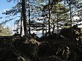 IMG_5607