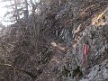 IMG_5608