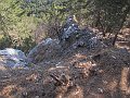 IMG_5610