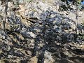 IMG_5612