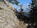 IMG_5614