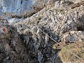 IMG_5616