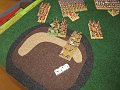 IMG_6225
