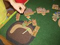IMG_6231