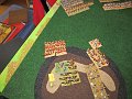 IMG_6245