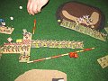 IMG_6284