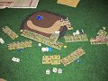 IMG_6304