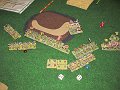 IMG_6313