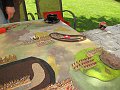 IMG_6526