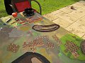 IMG_6555