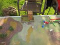 IMG_6565