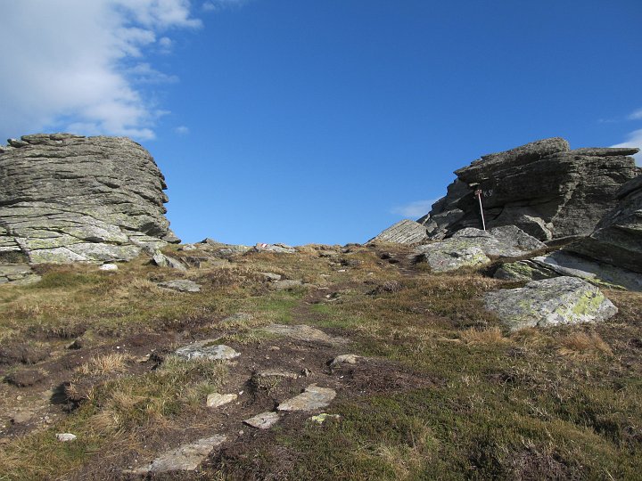 IMG_6791.JPG - ..die Forstalm.