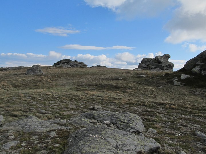 IMG_6796.JPG - Es sind eine Menge da.