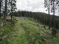 IMG_6764