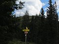 IMG_6768