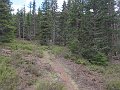 IMG_6769