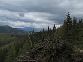 IMG_6770