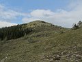 IMG_6773