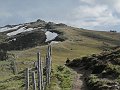 IMG_6779
