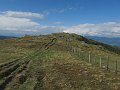IMG_6780
