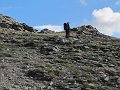 IMG_6785
