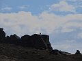 IMG_6786
