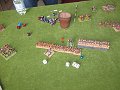 IMG_7239