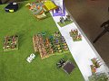 IMG_7244