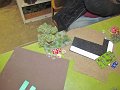 IMG_7322