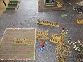 IMG_7726