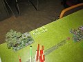 IMG_7790