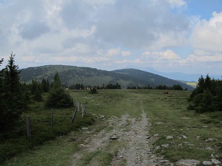 IMG_7818.JPG - Schokoriegl? Müsliriegl? Umschußriegl! Schöberlriegl!