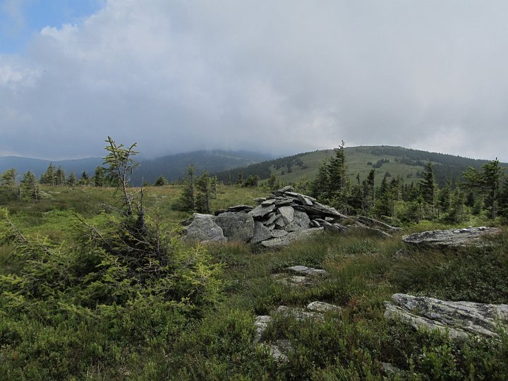 IMG_7837.JPG - Brauch mich heute ja nicht hetzen, ich hab sehr viel Zeit.