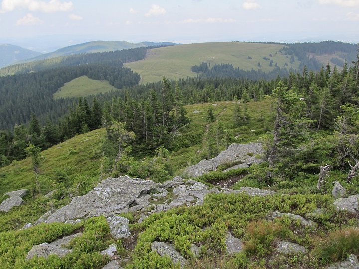 IMG_7843.JPG - ..über die "Steilstufe"