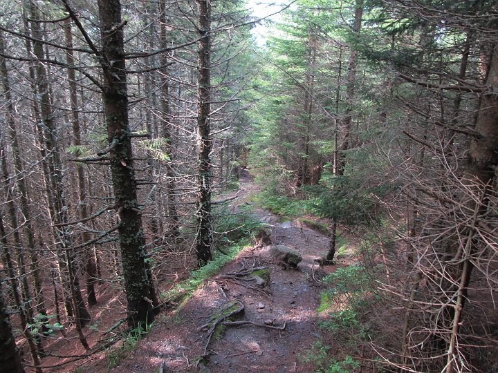 IMG_7847.JPG - Diese hier ist mir neu. Ist sozusagen Kranichberger reloaded. (ein Schinderweg allerdings, recht steil)