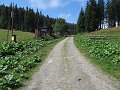 IMG_7793
