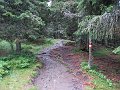 IMG_7796