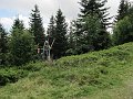 IMG_7797