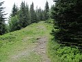 IMG_7798