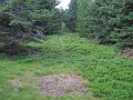 IMG_7800