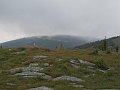 IMG_7803