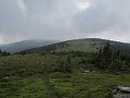IMG_7805