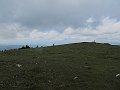 IMG_7808