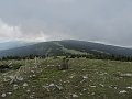 IMG_7809