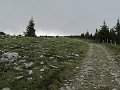 IMG_7810